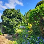 Plain-pied - Centre - Jardin Au Calme *