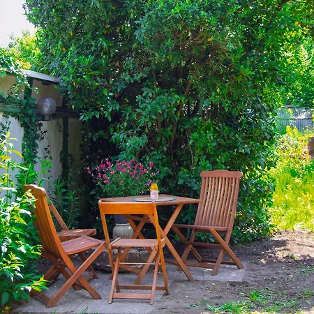 Apartment Plain-pied - Centre - Jardin Au Calme *