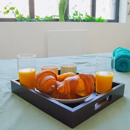 Plain-pied - Centre - Jardin Au Calme *