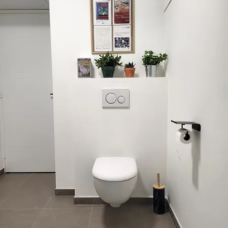 Plain-pied - Centre - Jardin Au Calme Béthune